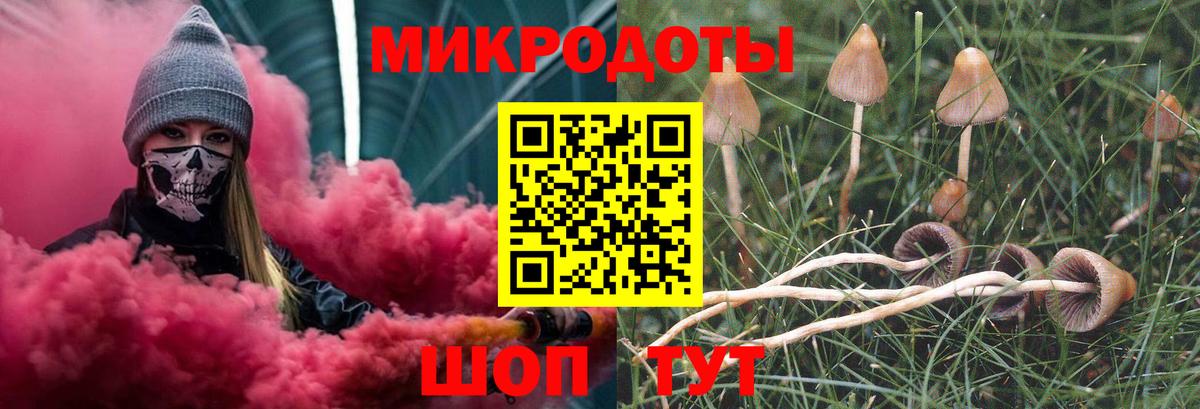 Псилоцибиновые грибы Psilocybe  Вход с VPN  Александров  Галлюциногенные грибы Psilocybine cubensis 